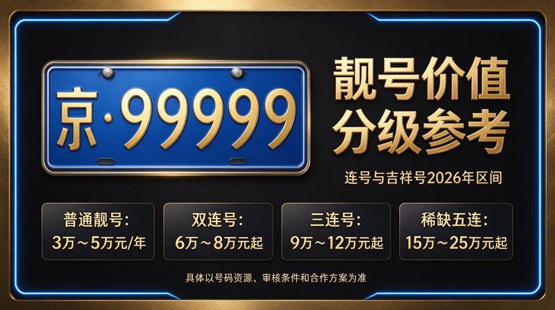 闲置北京租牌照三年价格明细表数据可视化图